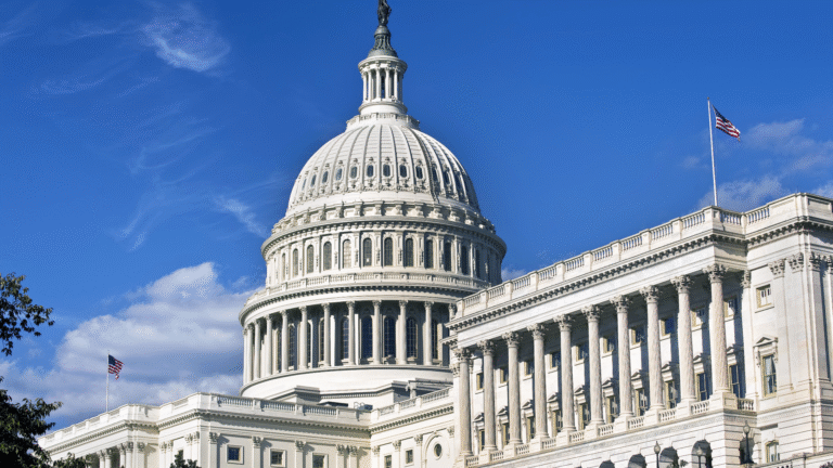 What Is a Government Shutdown