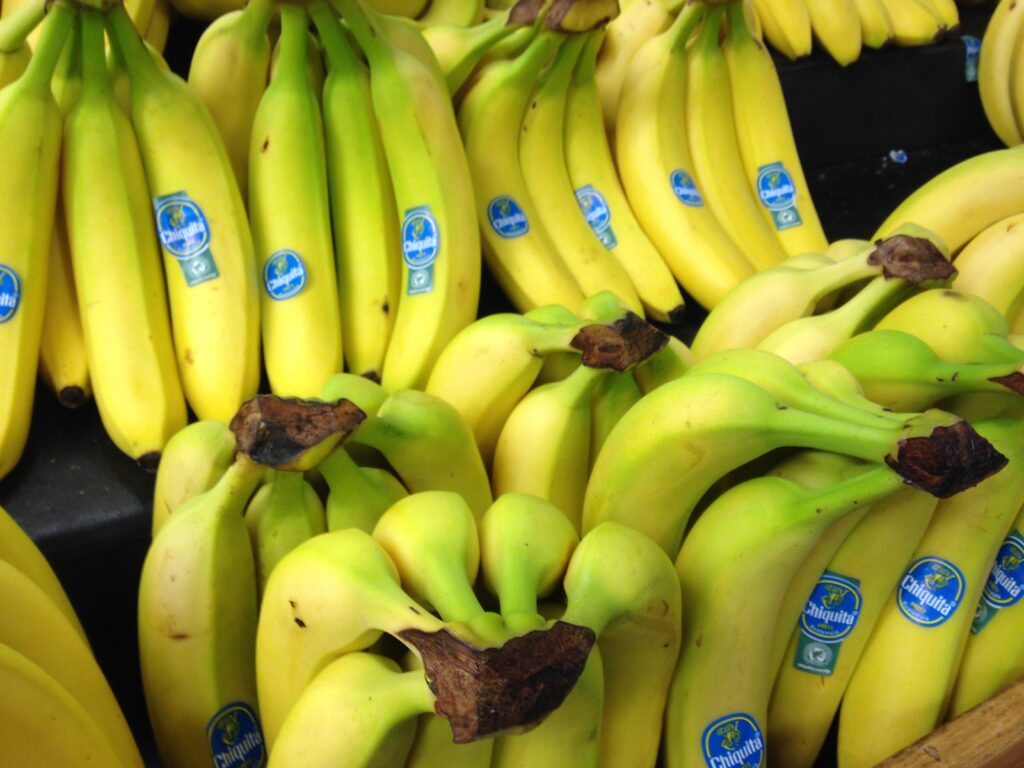 Banana Blueprint for Corporate Sovereignty