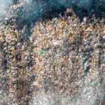 Trash is a comodity